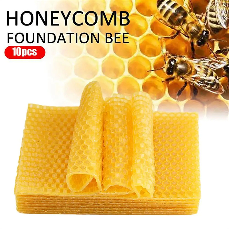 10/20 Stück natürliche Bienenw – Candle Supplies Beeswax Bewertung und Preis