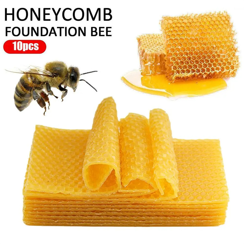 10/20 Stück natürliche Bienenw – Candle Supplies Beeswax Bewertung und Preis