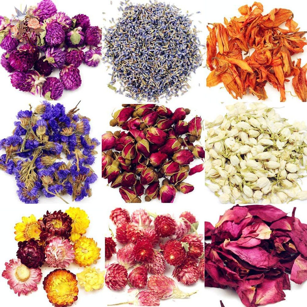 15 Beutel Getrocknete Blumen B – Your Candle Supplies Bewertung und Preis